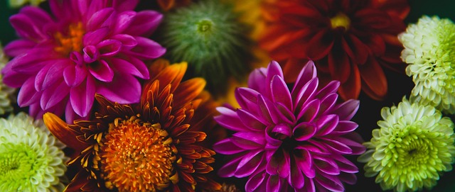 束巴萨的